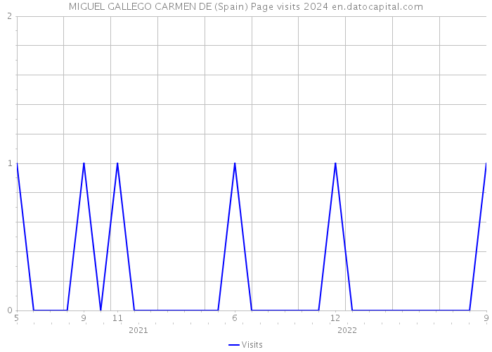 MIGUEL GALLEGO CARMEN DE (Spain) Page visits 2024 