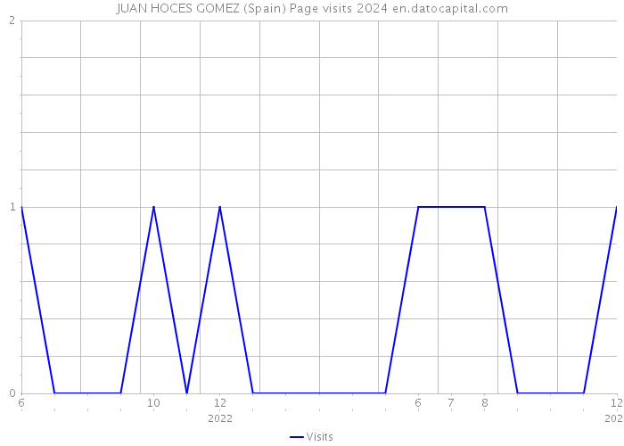 JUAN HOCES GOMEZ (Spain) Page visits 2024 