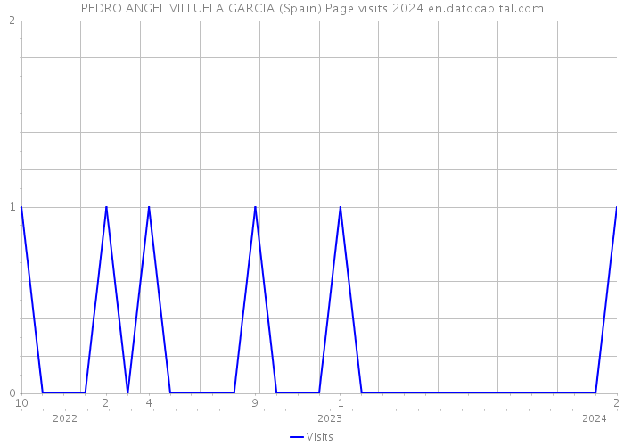 PEDRO ANGEL VILLUELA GARCIA (Spain) Page visits 2024 