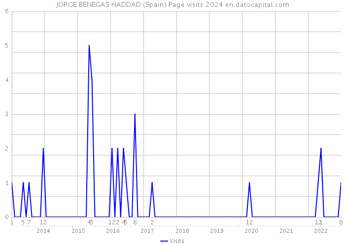 JORGE BENEGAS HADDAD (Spain) Page visits 2024 