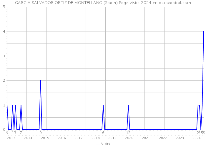 GARCIA SALVADOR ORTIZ DE MONTELLANO (Spain) Page visits 2024 
