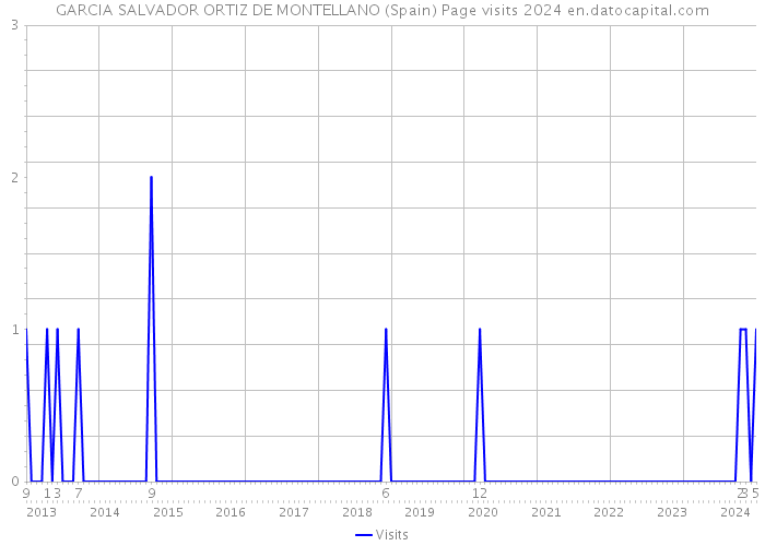 GARCIA SALVADOR ORTIZ DE MONTELLANO (Spain) Page visits 2024 