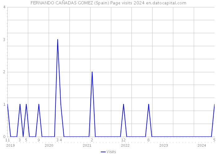 FERNANDO CAÑADAS GOMEZ (Spain) Page visits 2024 