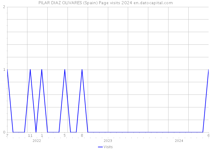 PILAR DIAZ OLIVARES (Spain) Page visits 2024 