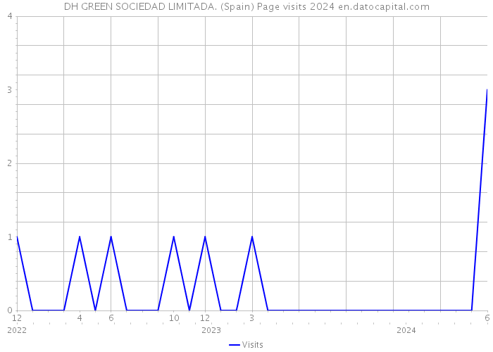 DH GREEN SOCIEDAD LIMITADA. (Spain) Page visits 2024 