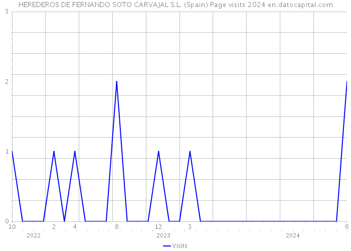 HEREDEROS DE FERNANDO SOTO CARVAJAL S.L. (Spain) Page visits 2024 