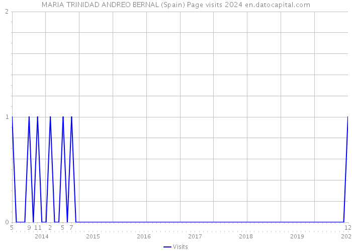 MARIA TRINIDAD ANDREO BERNAL (Spain) Page visits 2024 