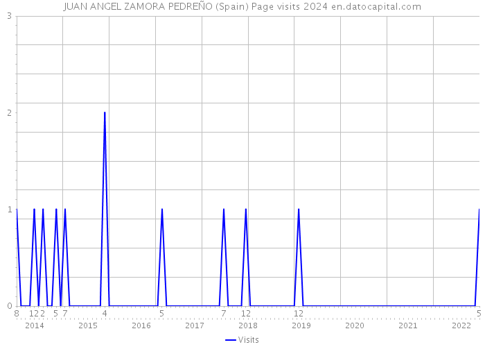 JUAN ANGEL ZAMORA PEDREÑO (Spain) Page visits 2024 