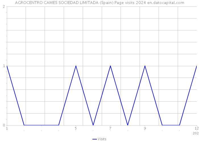 AGROCENTRO CAMES SOCIEDAD LIMITADA (Spain) Page visits 2024 