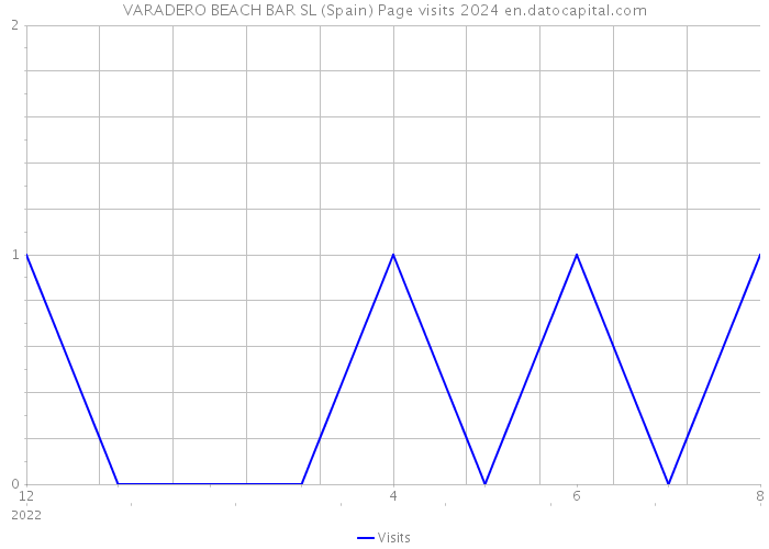 VARADERO BEACH BAR SL (Spain) Page visits 2024 