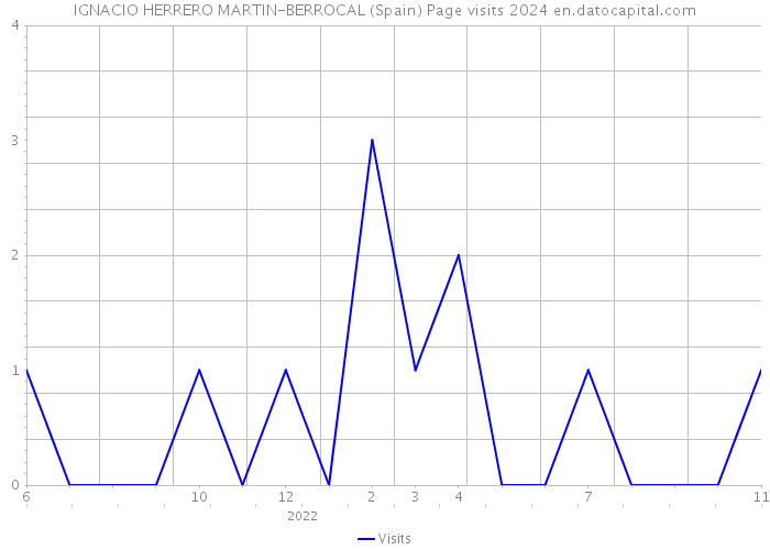 IGNACIO HERRERO MARTIN-BERROCAL (Spain) Page visits 2024 