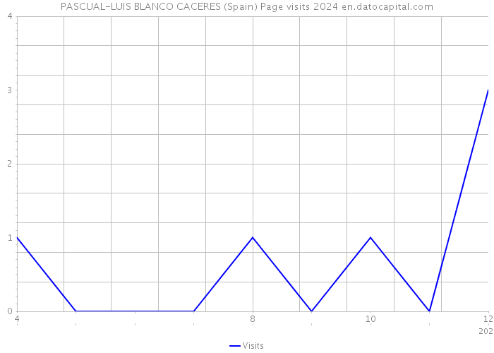 PASCUAL-LUIS BLANCO CACERES (Spain) Page visits 2024 