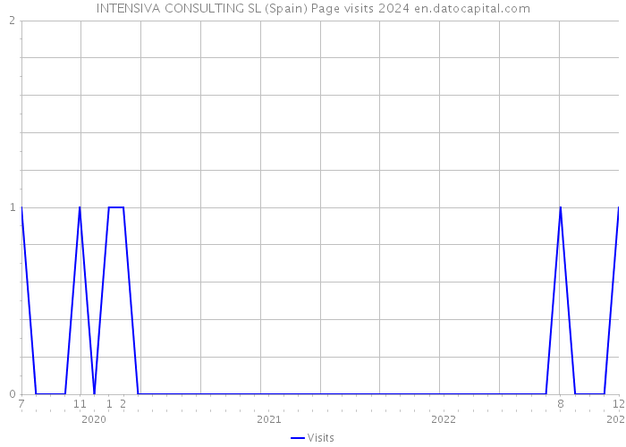 INTENSIVA CONSULTING SL (Spain) Page visits 2024 