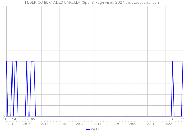 FEDERICO BERNADES CARULLA (Spain) Page visits 2024 