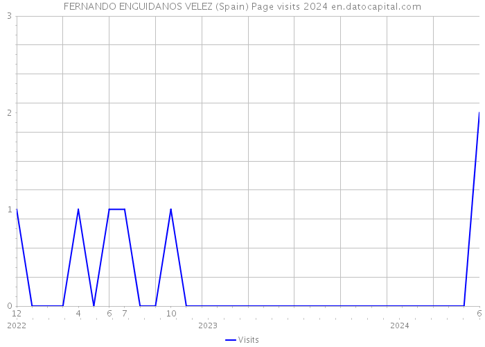 FERNANDO ENGUIDANOS VELEZ (Spain) Page visits 2024 