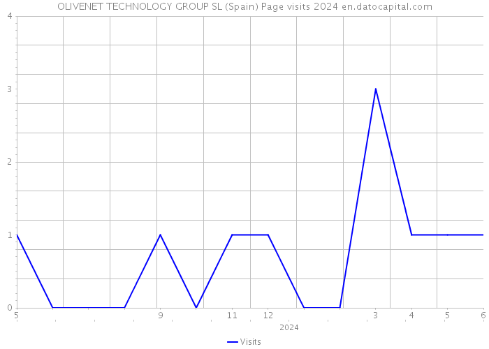 OLIVENET TECHNOLOGY GROUP SL (Spain) Page visits 2024 
