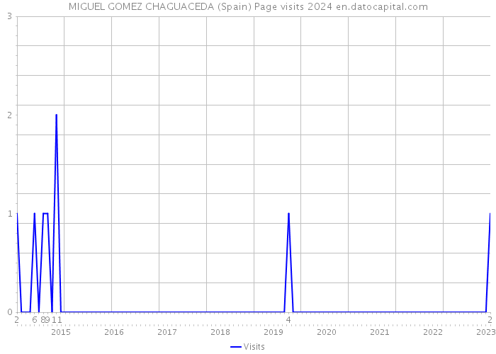 MIGUEL GOMEZ CHAGUACEDA (Spain) Page visits 2024 