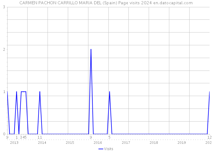 CARMEN PACHON CARRILLO MARIA DEL (Spain) Page visits 2024 