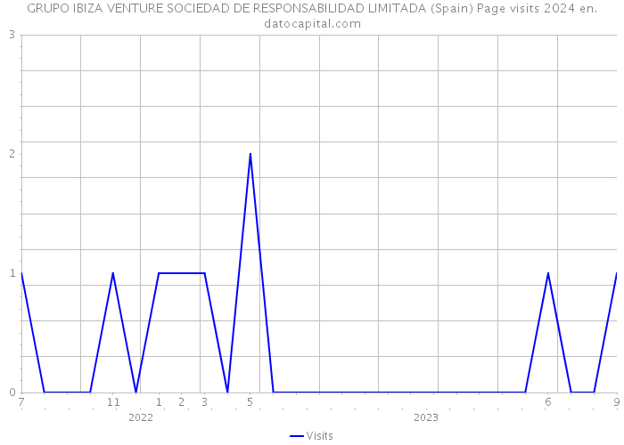 GRUPO IBIZA VENTURE SOCIEDAD DE RESPONSABILIDAD LIMITADA (Spain) Page visits 2024 