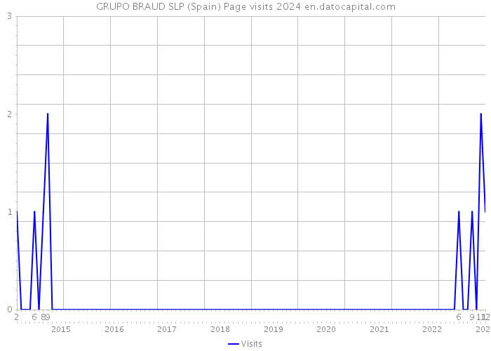 GRUPO BRAUD SLP (Spain) Page visits 2024 