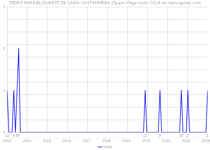 PEDRO MANUEL DUARTE DE GAMA CASTANHEIRA (Spain) Page visits 2024 