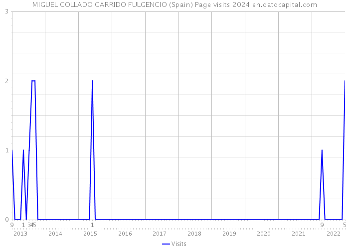 MIGUEL COLLADO GARRIDO FULGENCIO (Spain) Page visits 2024 
