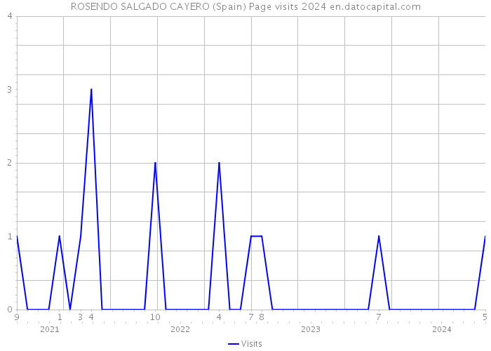 ROSENDO SALGADO CAYERO (Spain) Page visits 2024 