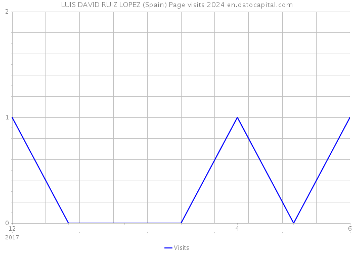 LUIS DAVID RUIZ LOPEZ (Spain) Page visits 2024 