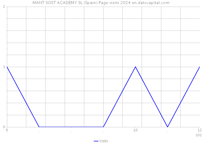 MANT SOST ACADEMY SL (Spain) Page visits 2024 