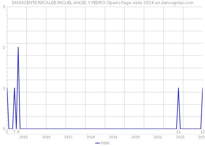 SANVICENTE RECALDE MIGUEL ANGEL Y PEDRO (Spain) Page visits 2024 