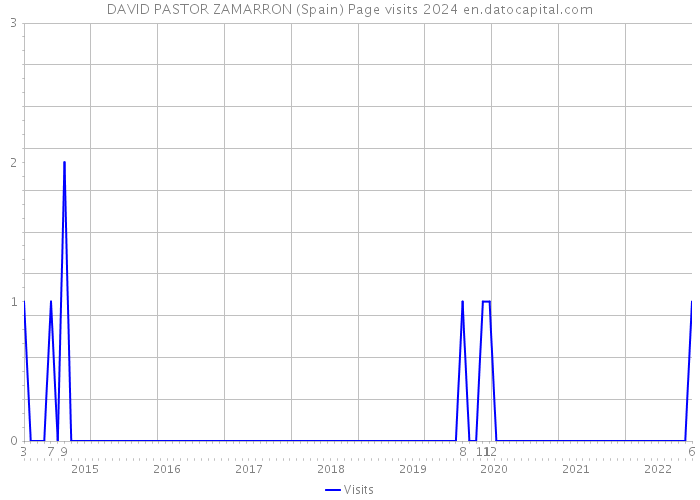 DAVID PASTOR ZAMARRON (Spain) Page visits 2024 