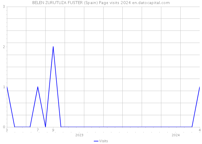 BELEN ZURUTUZA FUSTER (Spain) Page visits 2024 
