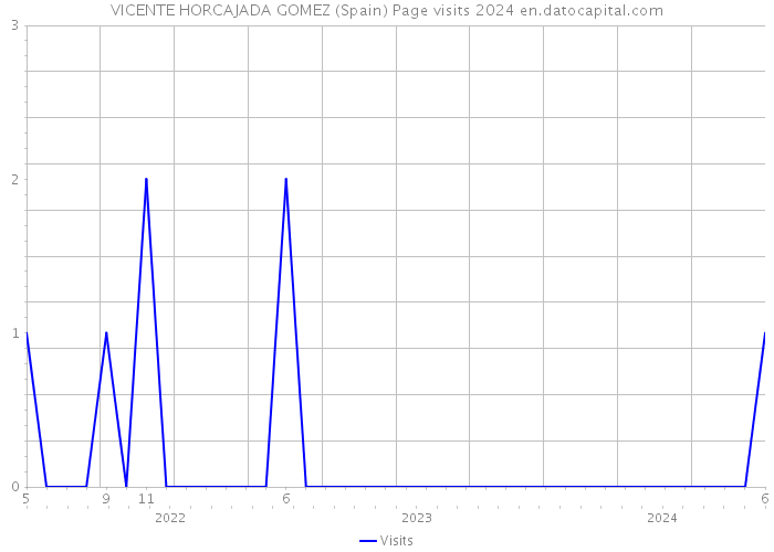 VICENTE HORCAJADA GOMEZ (Spain) Page visits 2024 