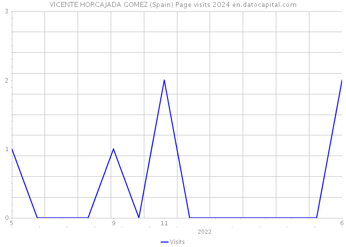 VICENTE HORCAJADA GOMEZ (Spain) Page visits 2024 