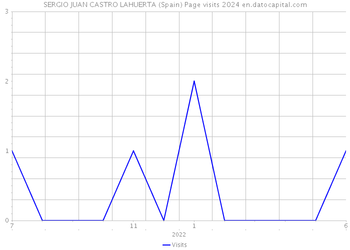 SERGIO JUAN CASTRO LAHUERTA (Spain) Page visits 2024 