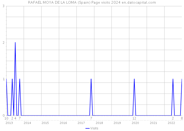 RAFAEL MOYA DE LA LOMA (Spain) Page visits 2024 