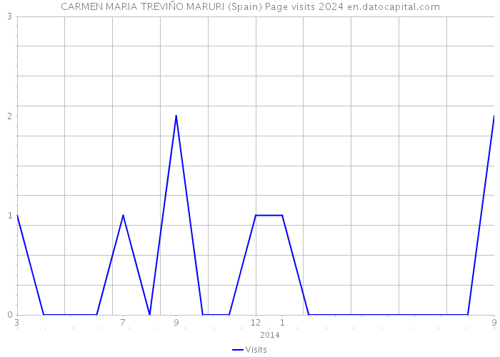 CARMEN MARIA TREVIÑO MARURI (Spain) Page visits 2024 