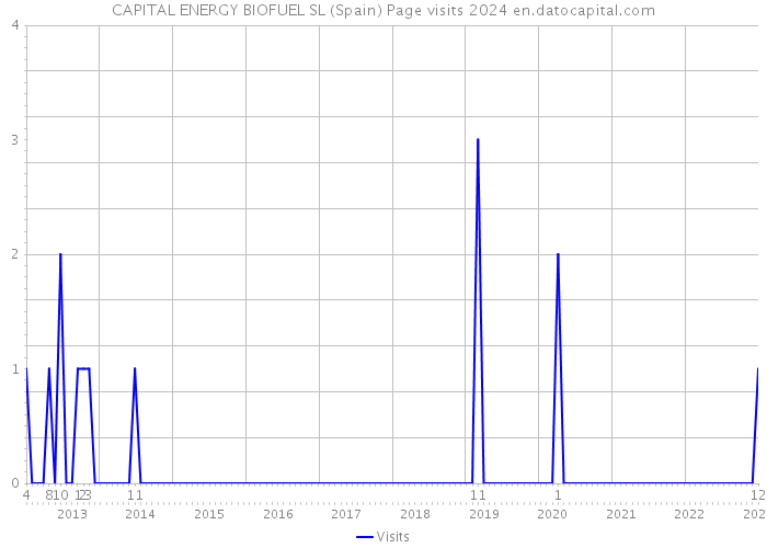 CAPITAL ENERGY BIOFUEL SL (Spain) Page visits 2024 