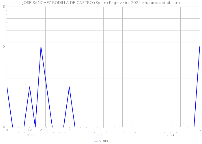 JOSE SANCHEZ RODILLA DE CASTRO (Spain) Page visits 2024 