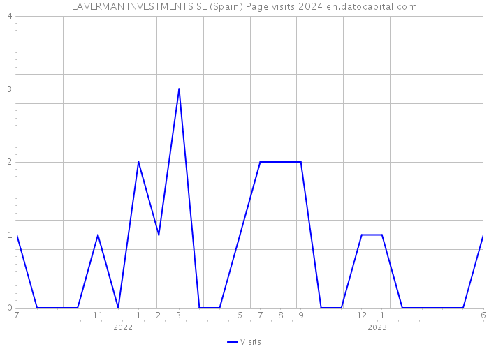 LAVERMAN INVESTMENTS SL (Spain) Page visits 2024 