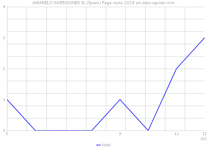 AMARELO INVERSIONES SL (Spain) Page visits 2024 