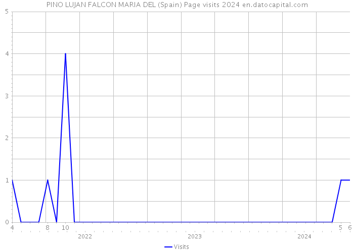 PINO LUJAN FALCON MARIA DEL (Spain) Page visits 2024 
