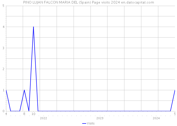 PINO LUJAN FALCON MARIA DEL (Spain) Page visits 2024 
