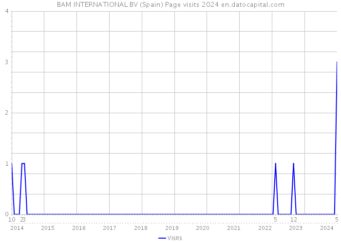 BAM INTERNATIONAL BV (Spain) Page visits 2024 