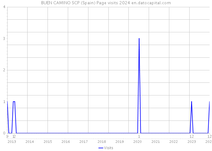 BUEN CAMINO SCP (Spain) Page visits 2024 