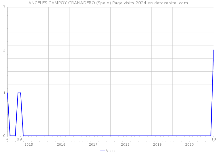 ANGELES CAMPOY GRANADERO (Spain) Page visits 2024 