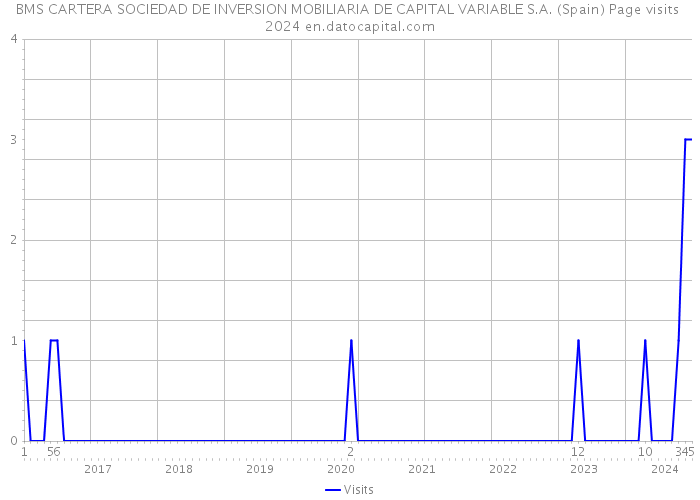 BMS CARTERA SOCIEDAD DE INVERSION MOBILIARIA DE CAPITAL VARIABLE S.A. (Spain) Page visits 2024 