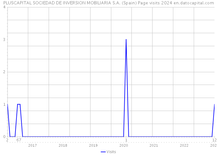 PLUSCAPITAL SOCIEDAD DE INVERSION MOBILIARIA S.A. (Spain) Page visits 2024 