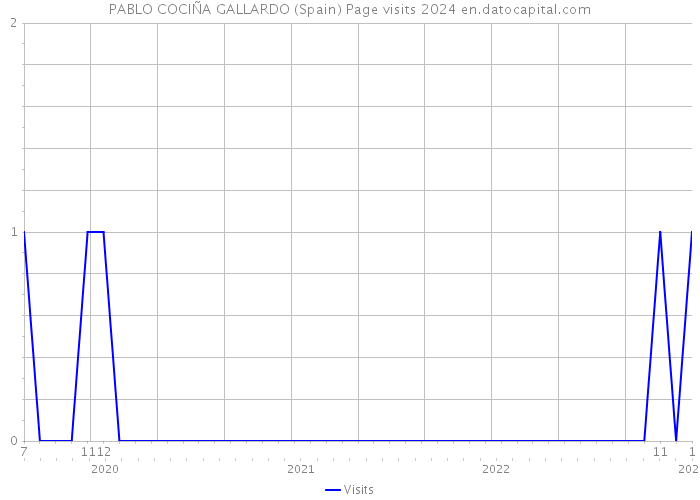 PABLO COCIÑA GALLARDO (Spain) Page visits 2024 