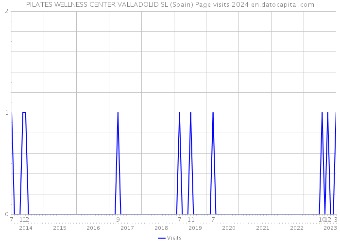 PILATES WELLNESS CENTER VALLADOLID SL (Spain) Page visits 2024 